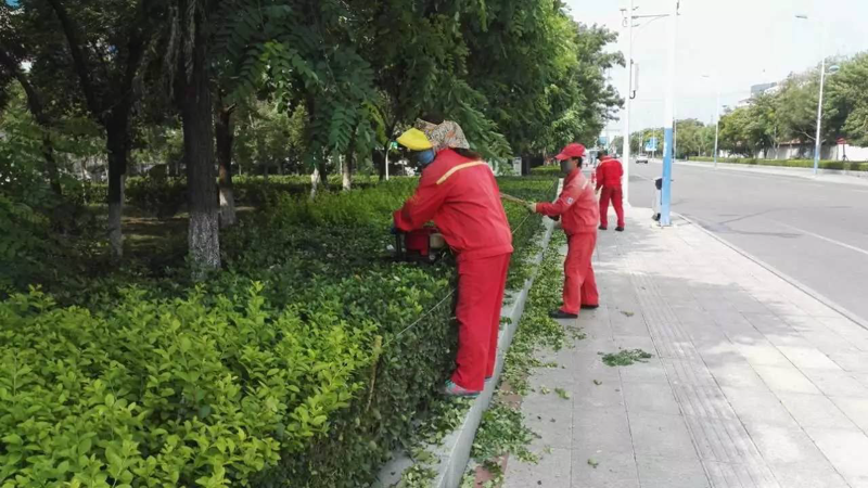 物业管理行业的新趋势:丹盛物业如何引领潮流?