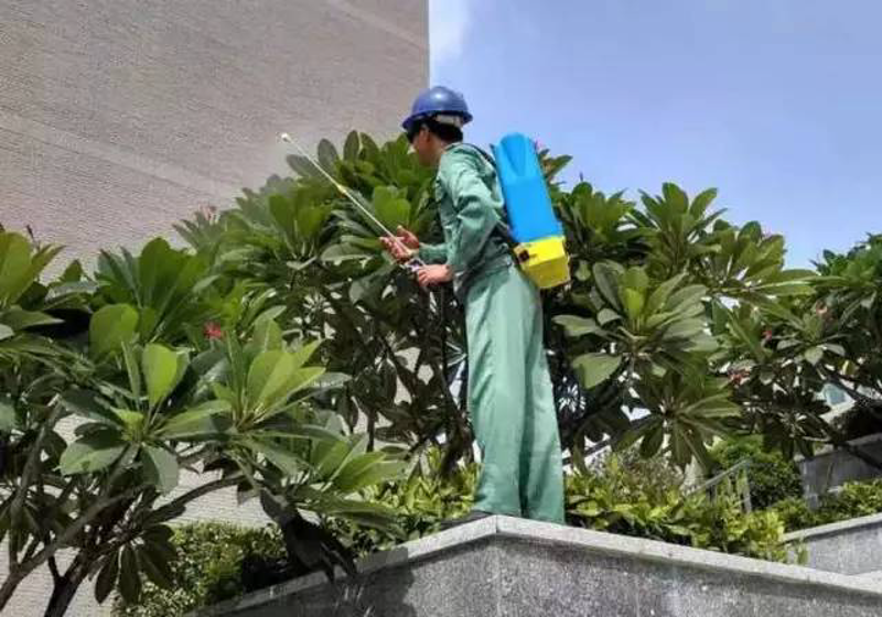 智慧社区:丹盛物业引领行业新风尚